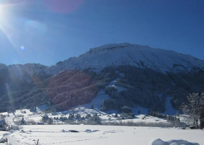 ゲストハウス Haus Lenzer